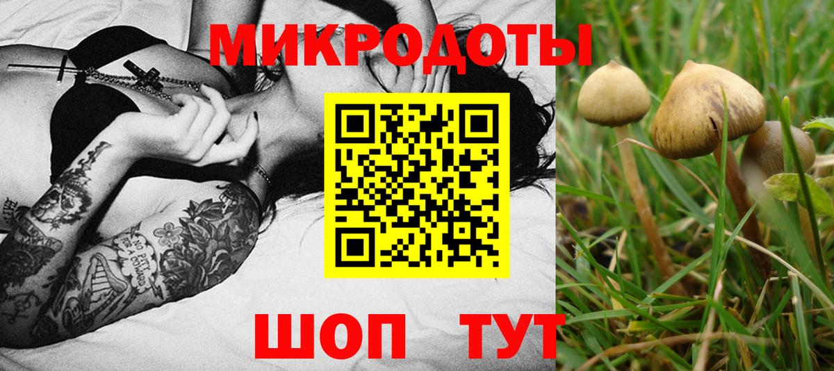 БУТИРАТ Лыткарино